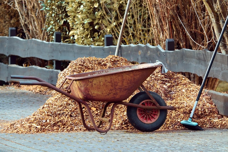 Mulching in the garden
